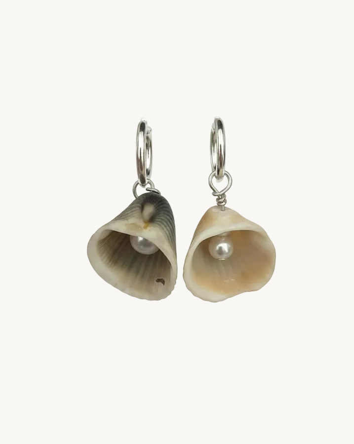 Shell earrings