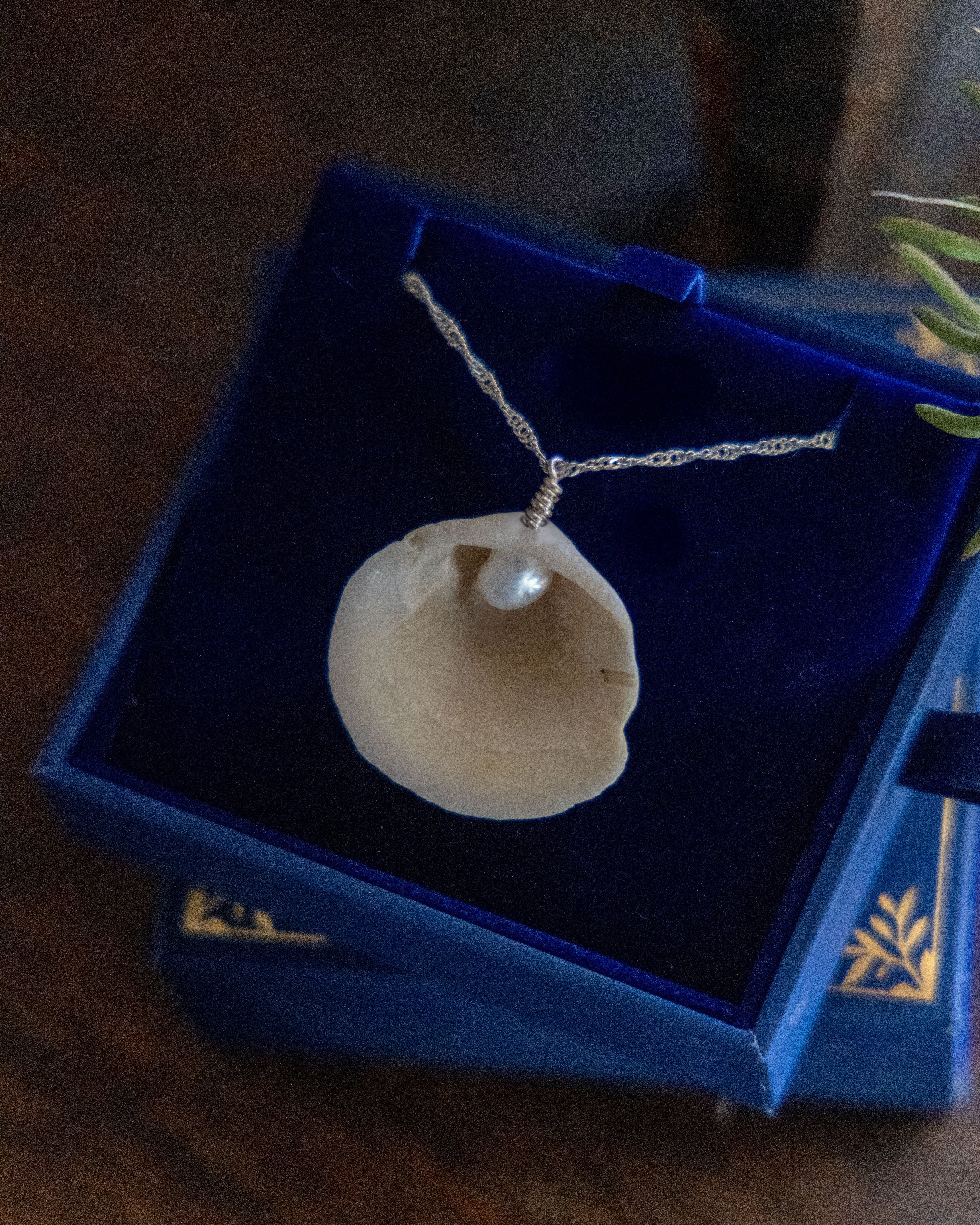 Sea Shell pendant