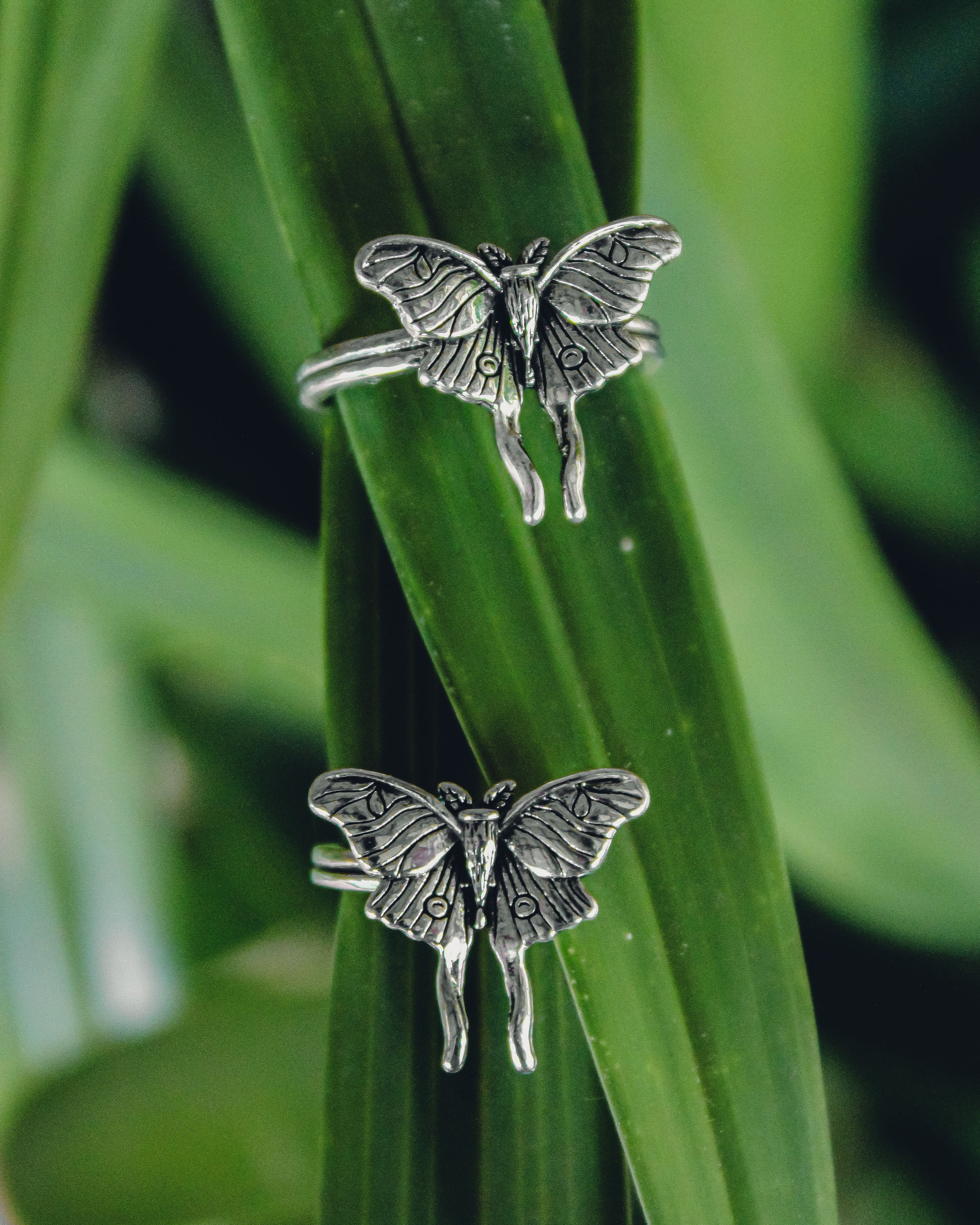 Two silver butterfly-shaped earrings on green leaves