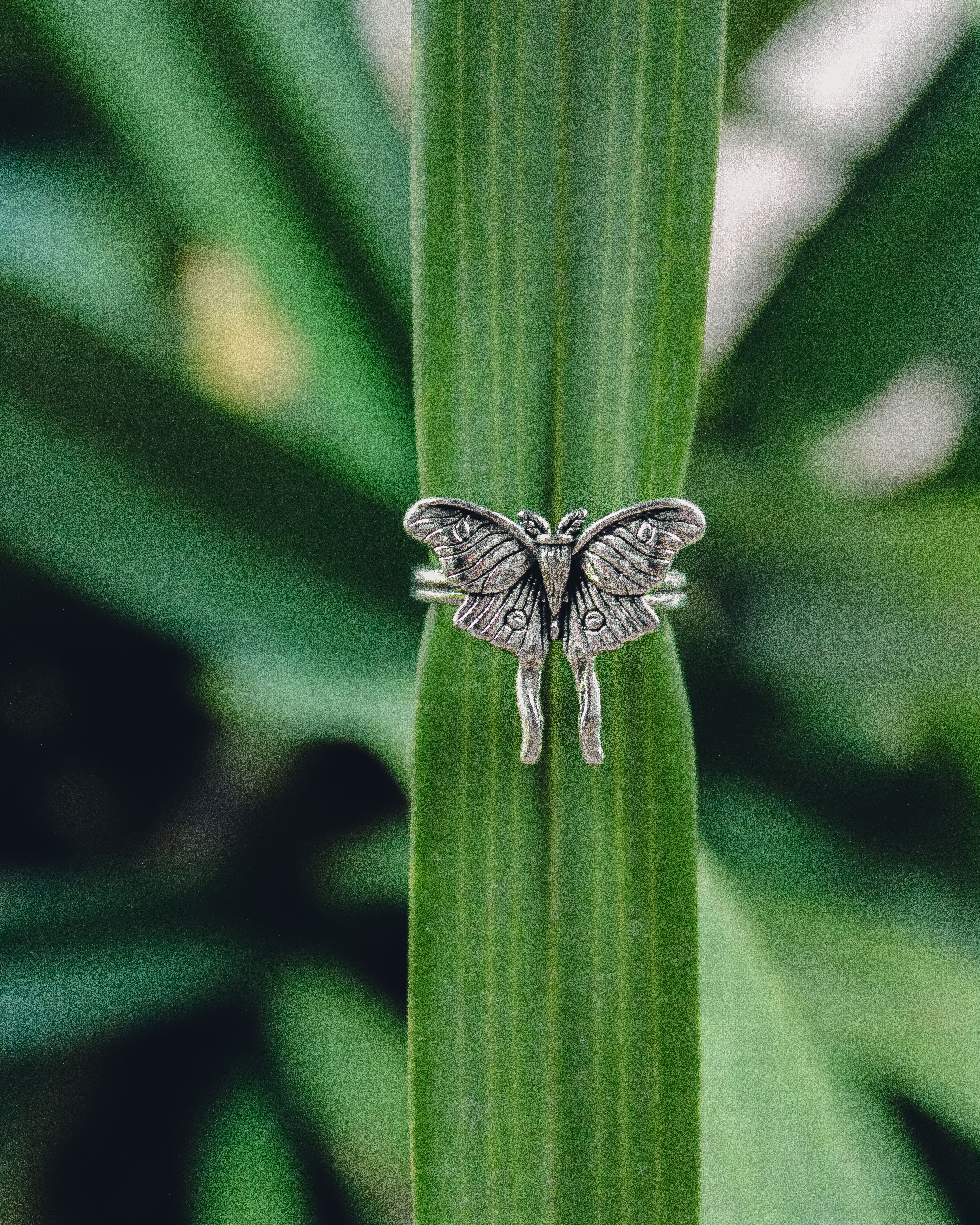 Silver butterfly ring on a green leaf with a blurred green background