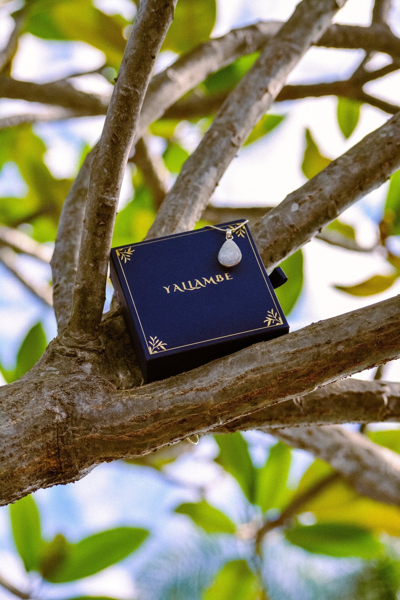 Jewellery Storage - Yallambe