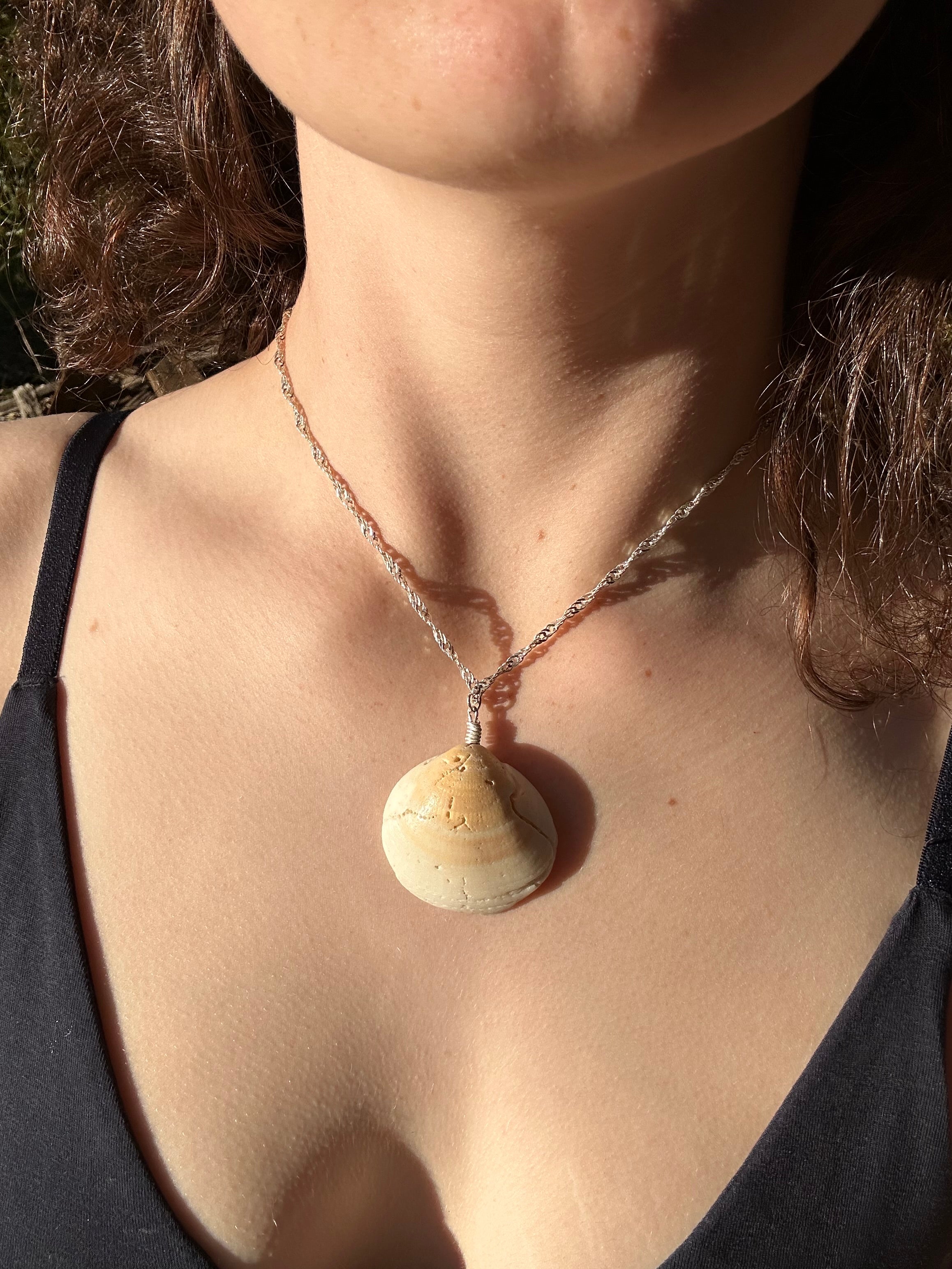 Shell crystal