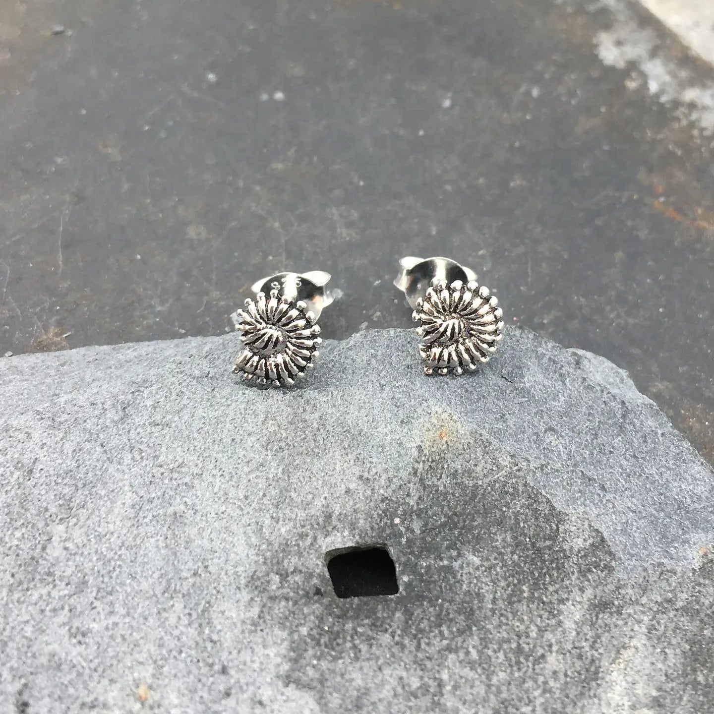 Ammonite Style Stud