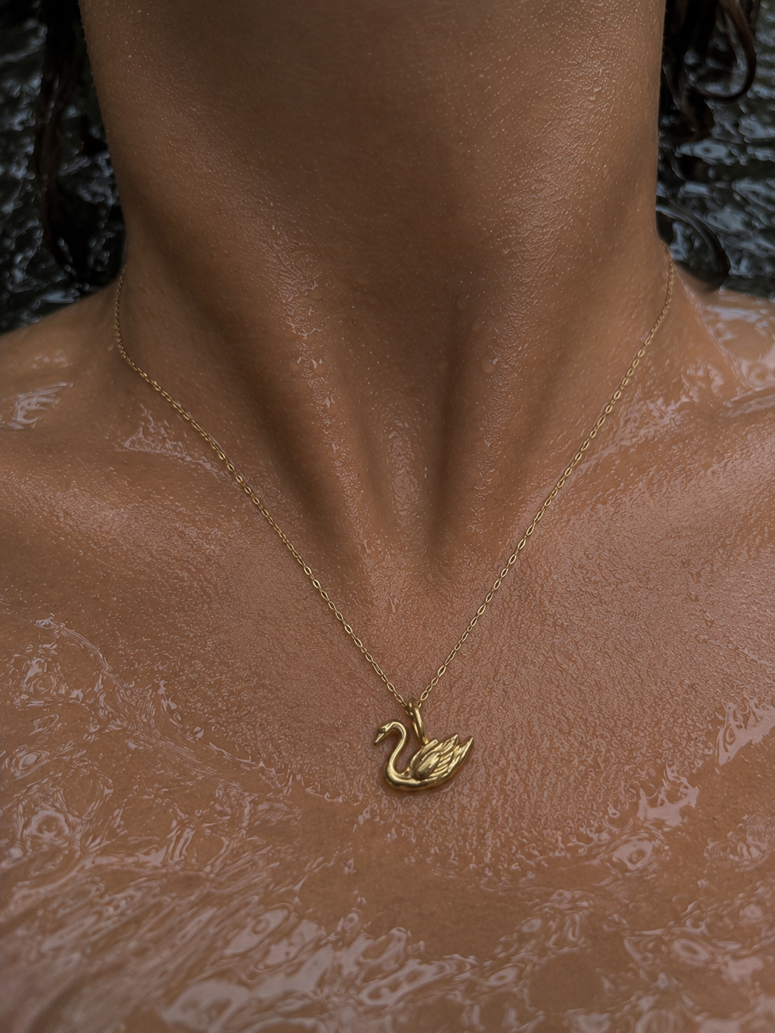 Swan Necklace
