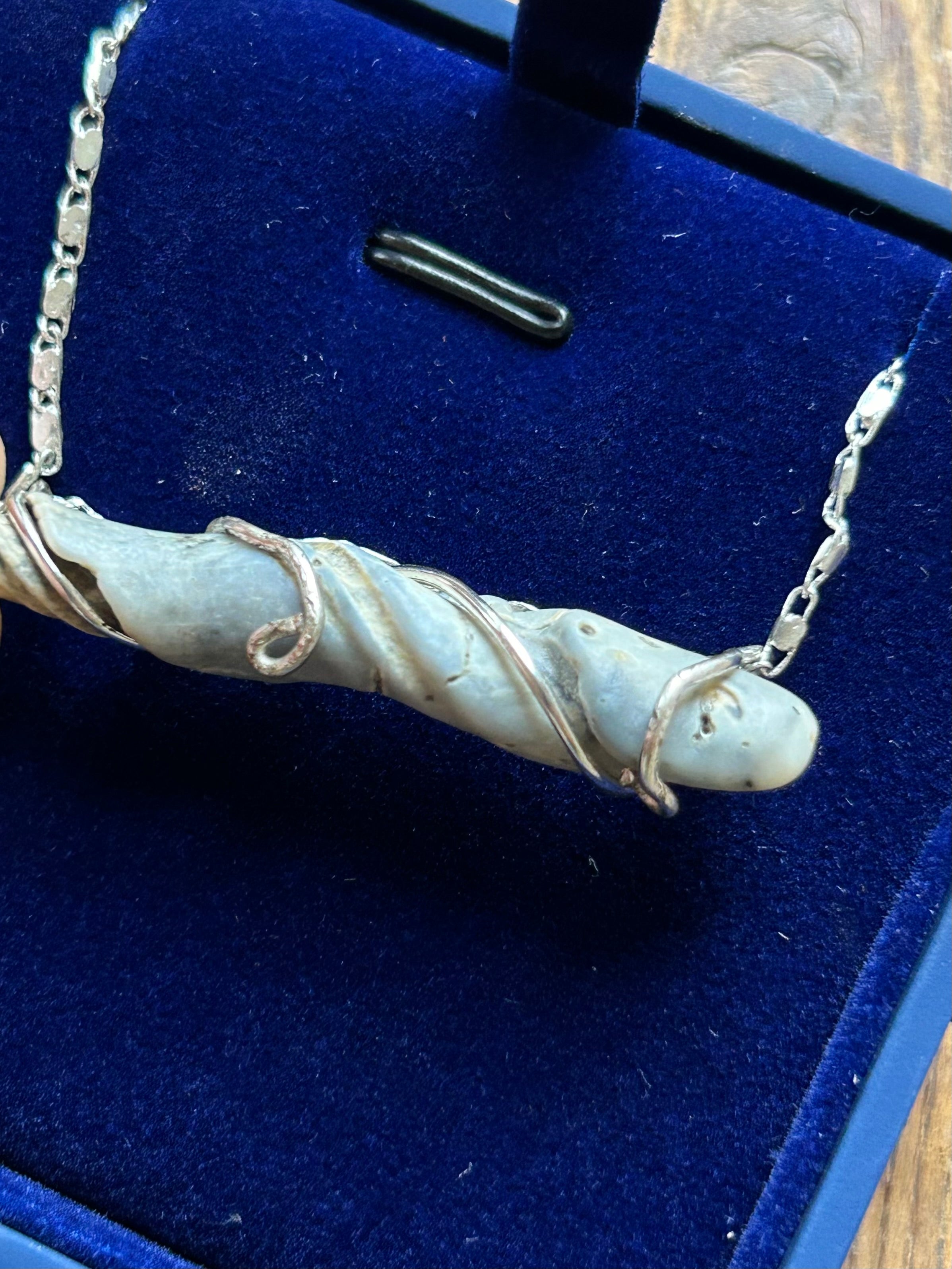 Wire wrapped shell necklace
