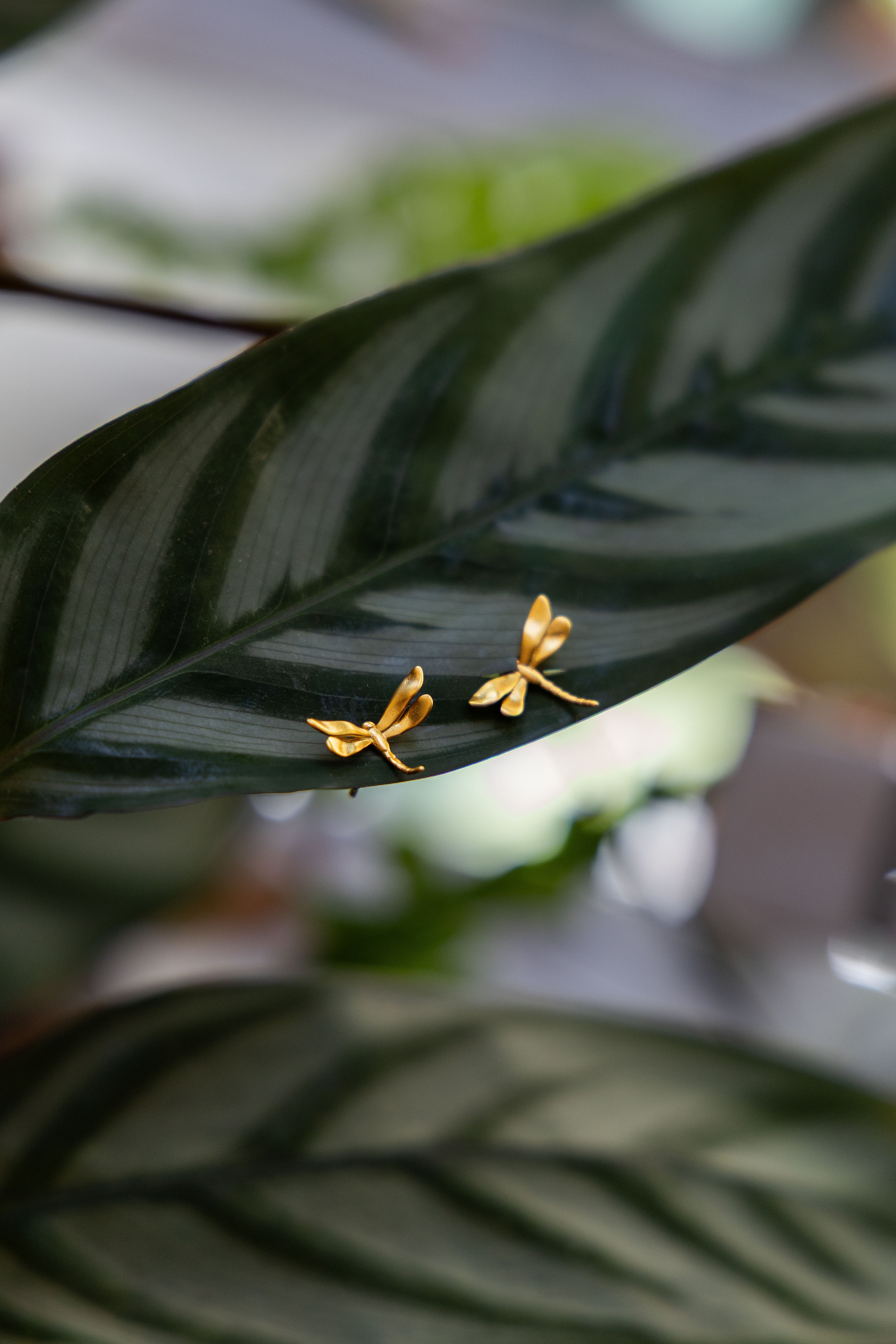 Dragonfly studs