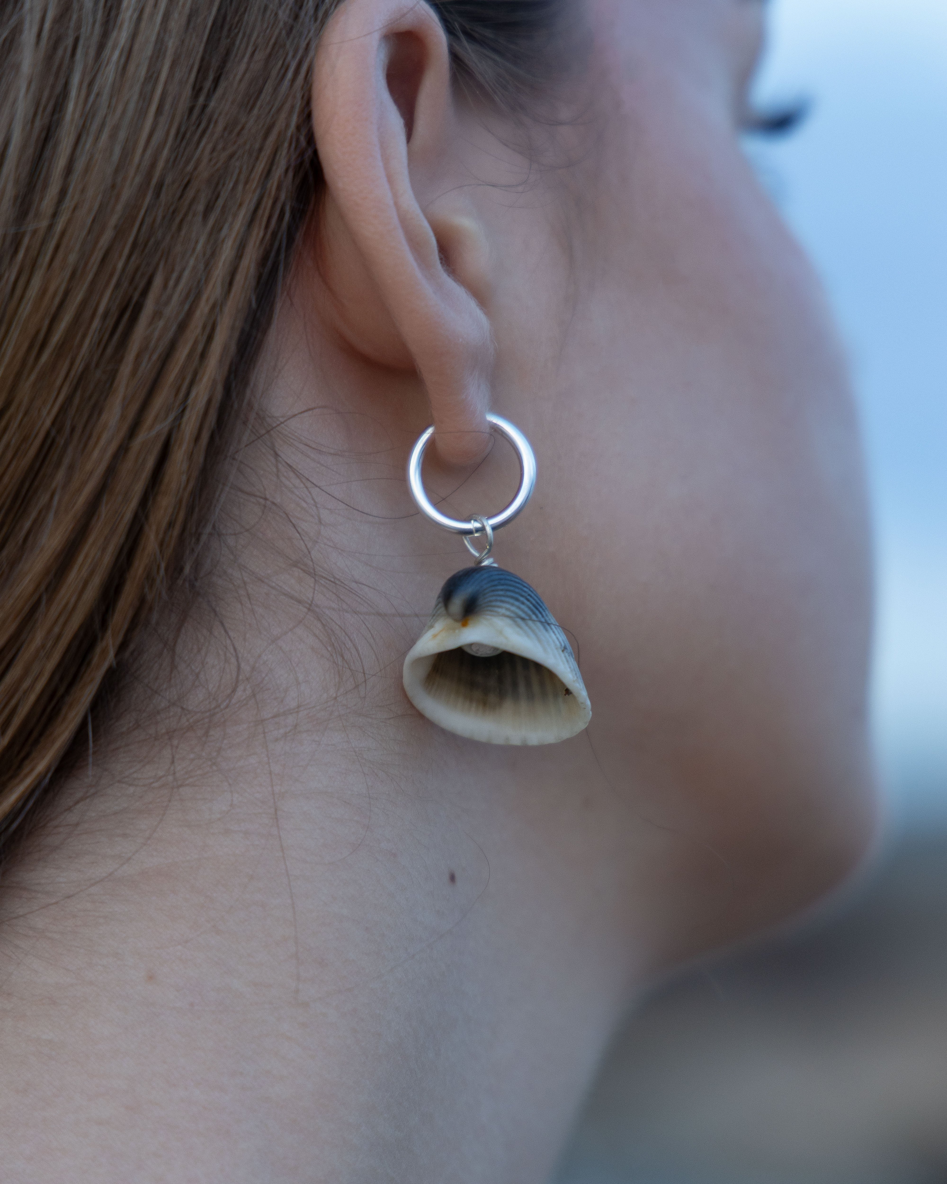 Shell earrings