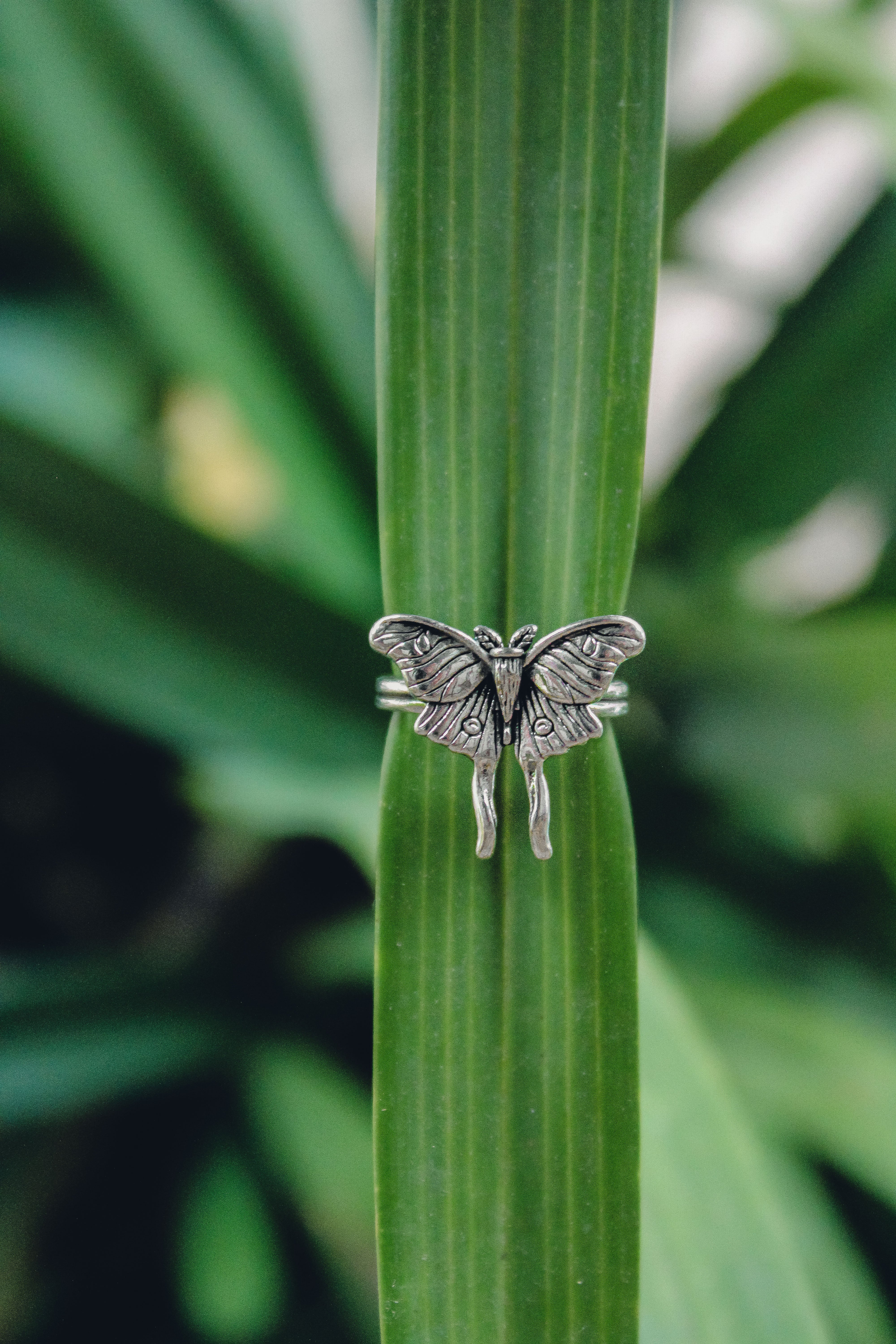 Butterfly Ring