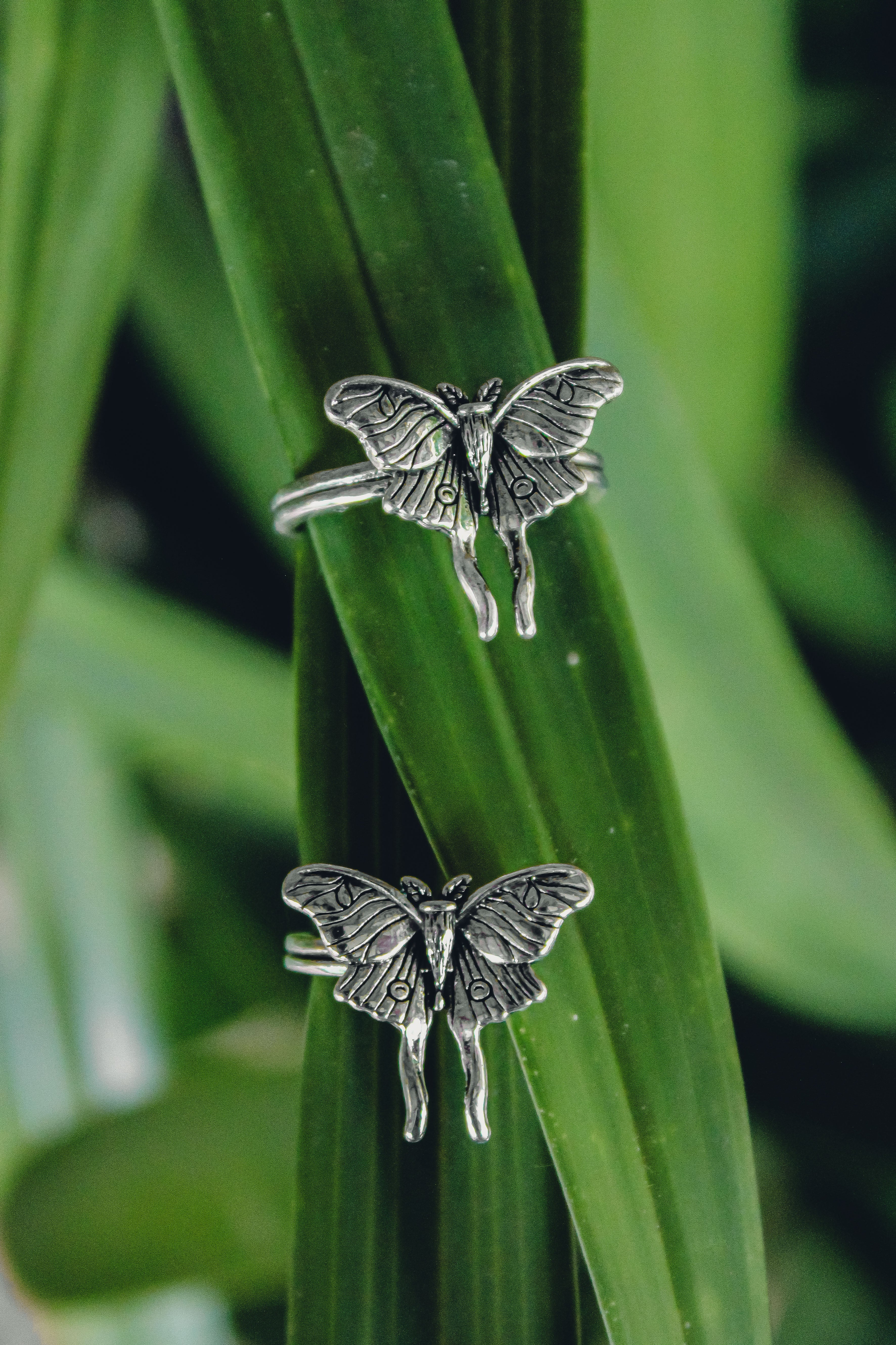 Butterfly Ring