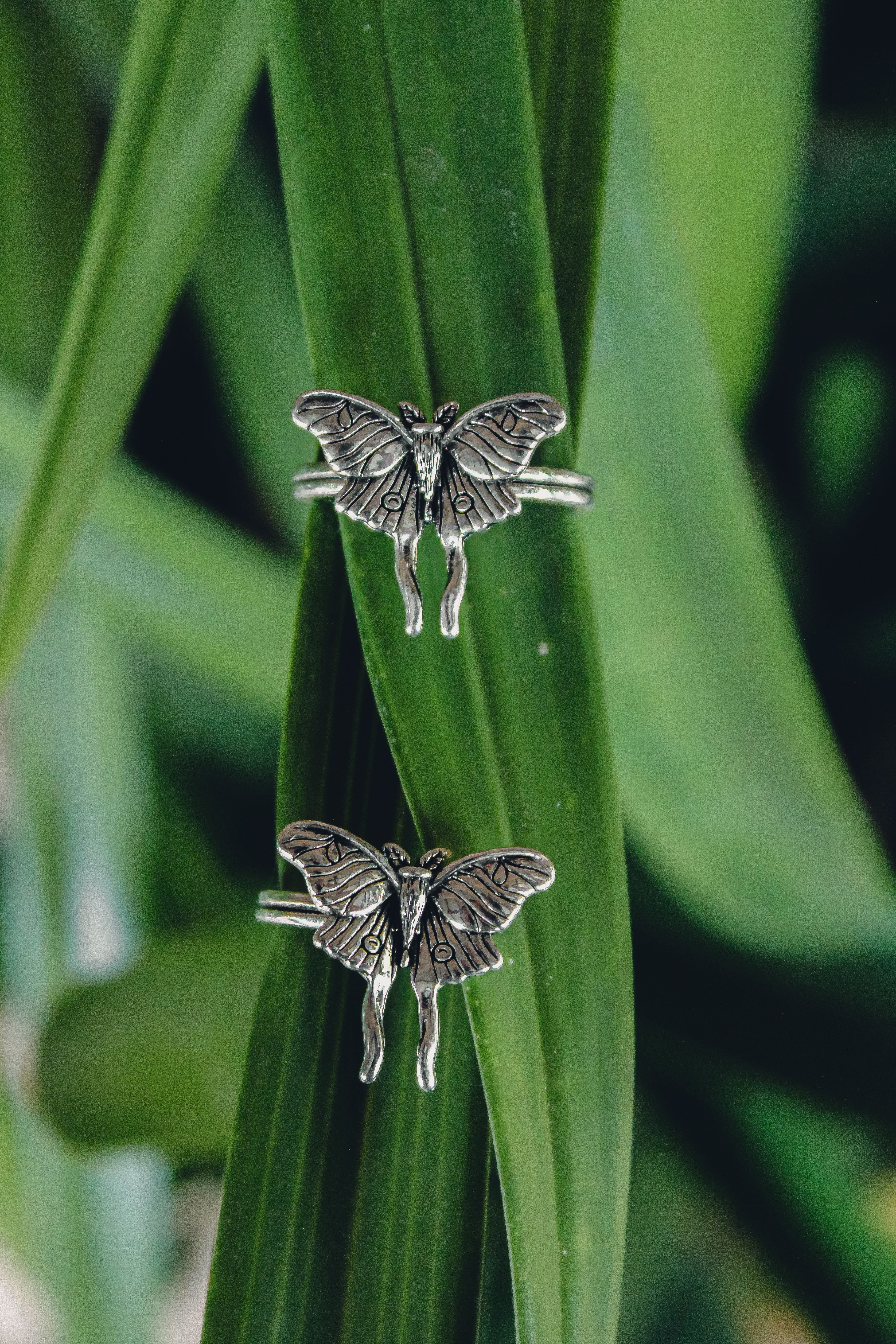 Butterfly Ring