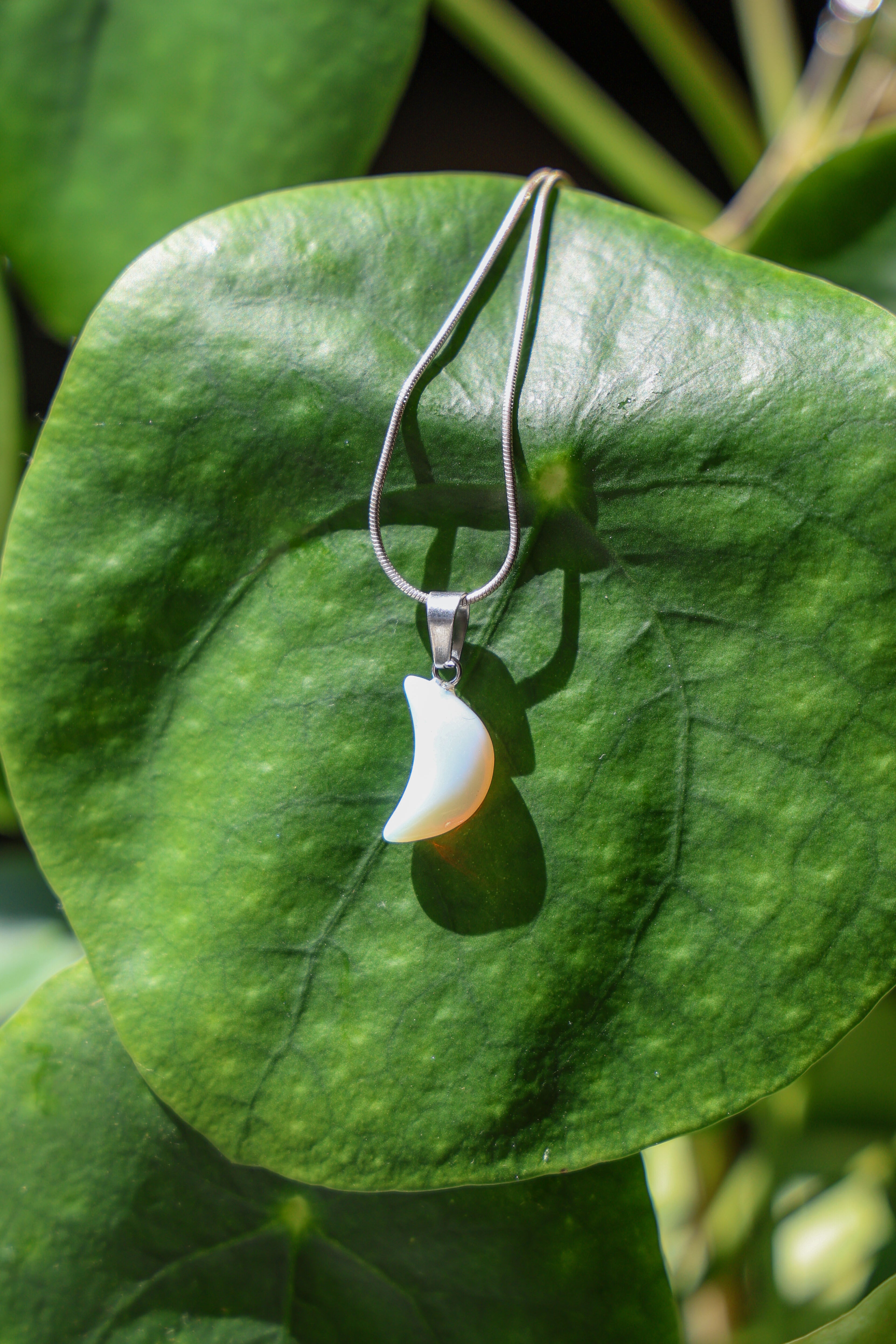A moon stone, opal moon-shaped pendant hanging from a silver chain, displayed on a green leaf.